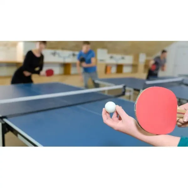 Paleta de Ping Pong - Tenis de mesa Madero T-4008 Xushaofa sideraldeportes.cl